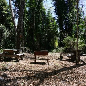 Camping - 4 a 5 personas