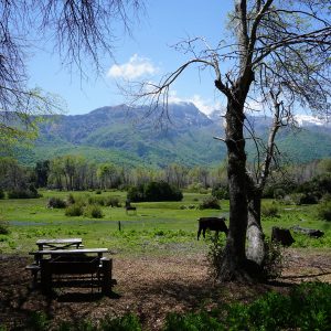 Camping - 6 a 20 personas