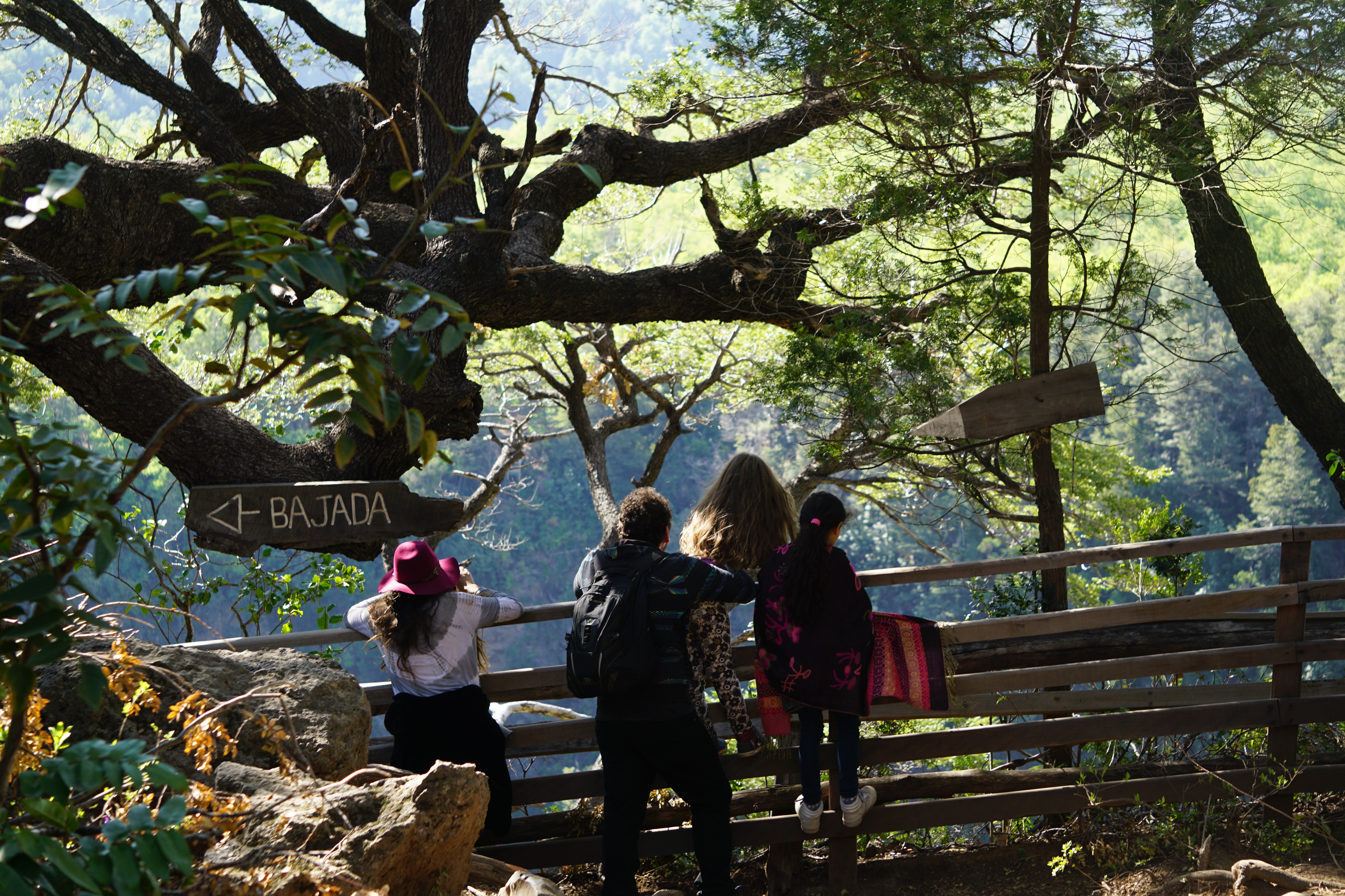 Camping Valle de las Catas — photo 4