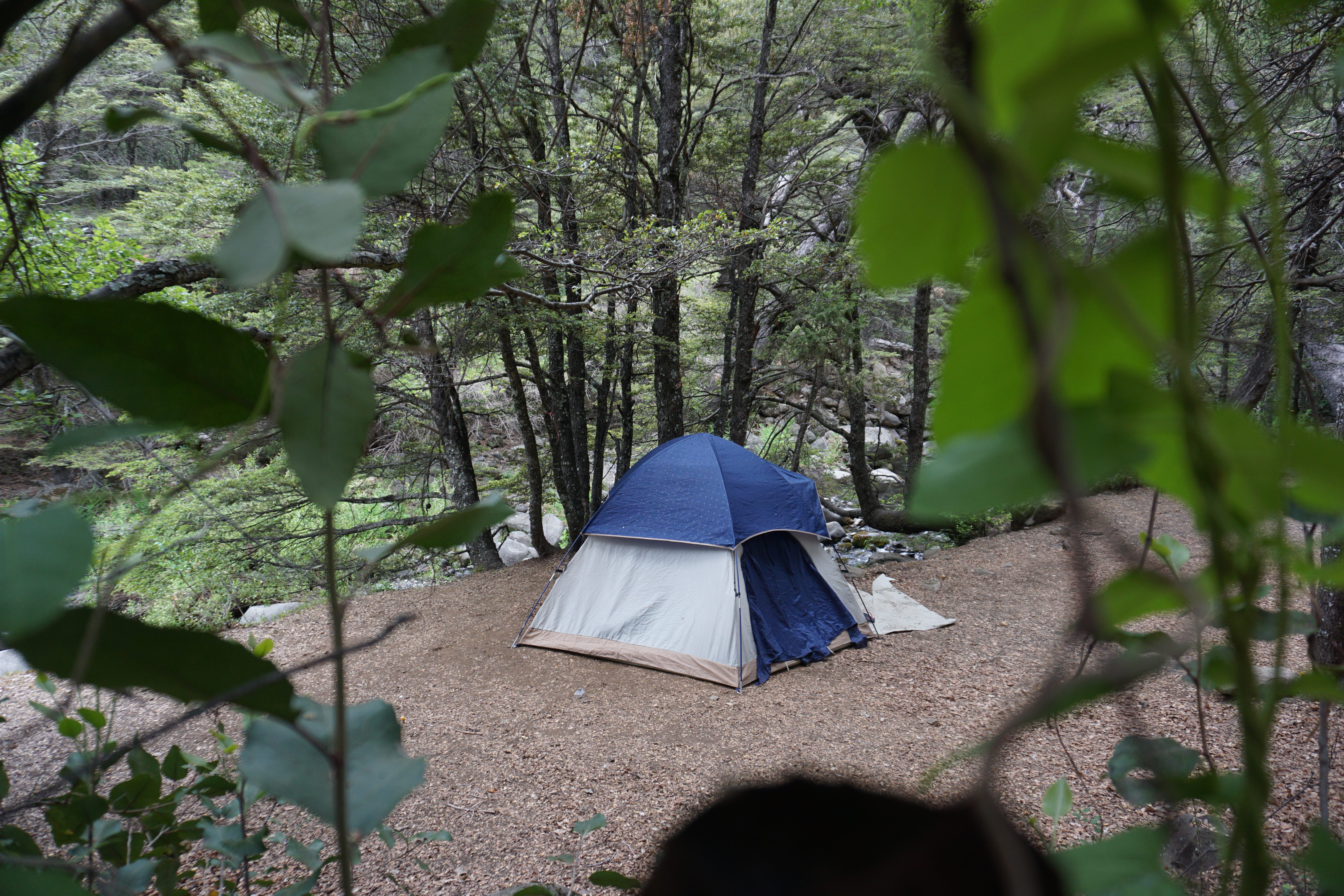 Camping Valle de las Catas — photo 5